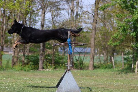 Foto van de vereniging