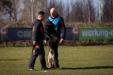 Foto van de vereniging