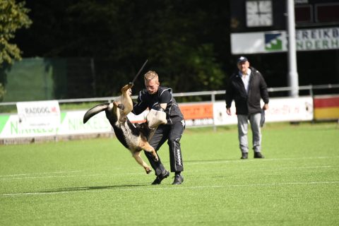 Foto van de vereniging